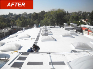 FlexLite Domes - Autoservice - After
